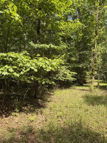 43 Bluffs Woods Altamont TN 37301
