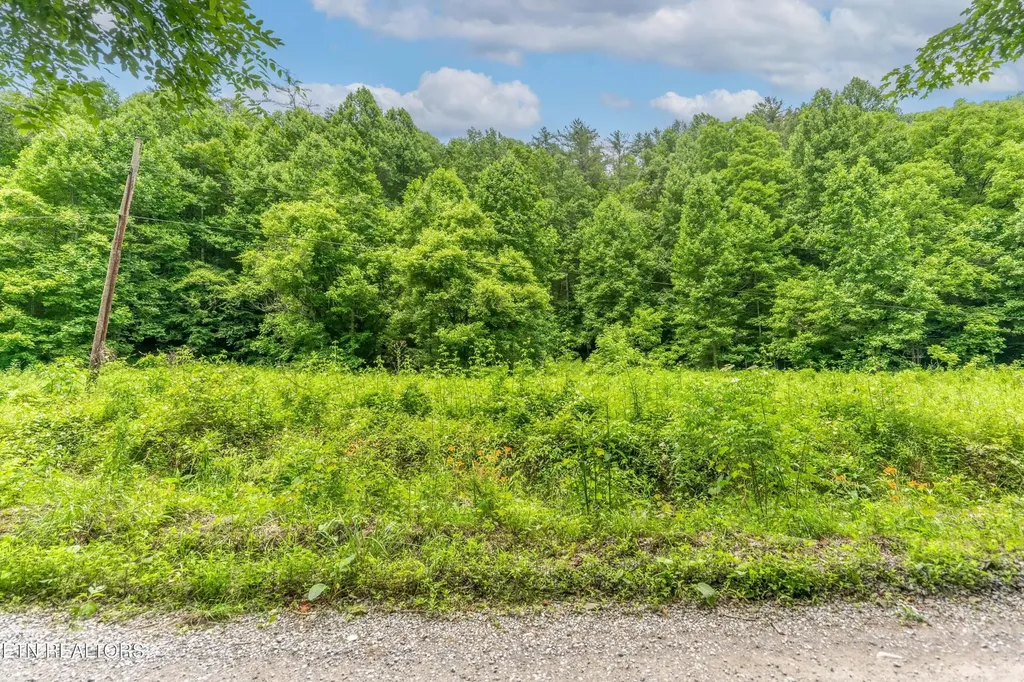 0 Johns Creek Road Del Rio TN 37727