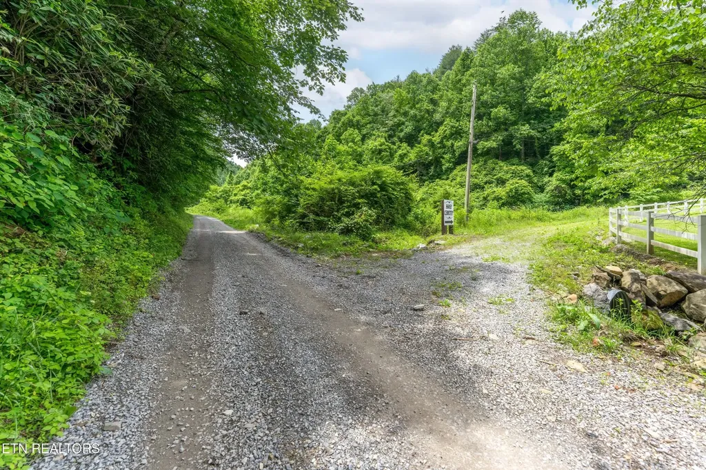 0 Johns Creek Road Del Rio TN 37727