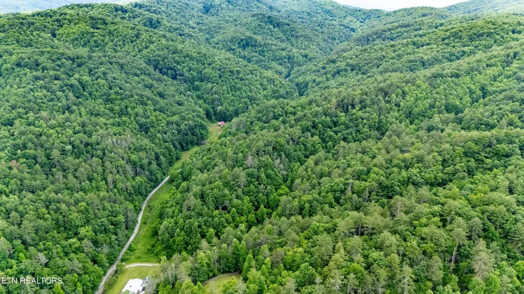0 Johns Creek Road Del Rio TN 37727