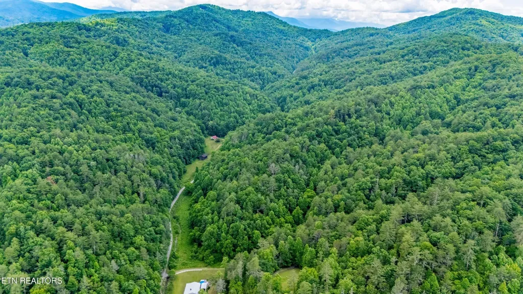 0 Johns Creek Road Del Rio TN 37727