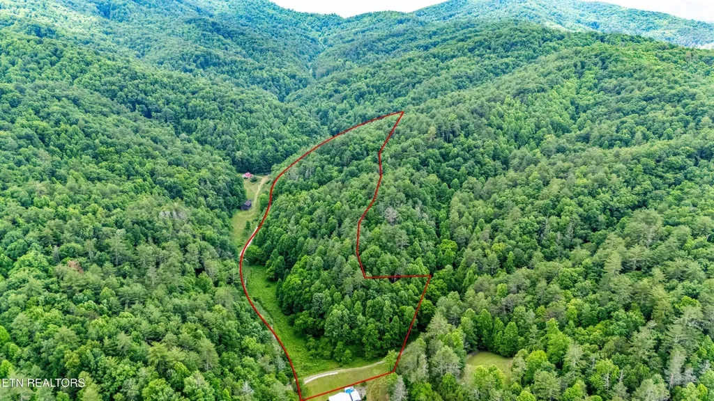 0 Johns Creek Road Del Rio TN 37727