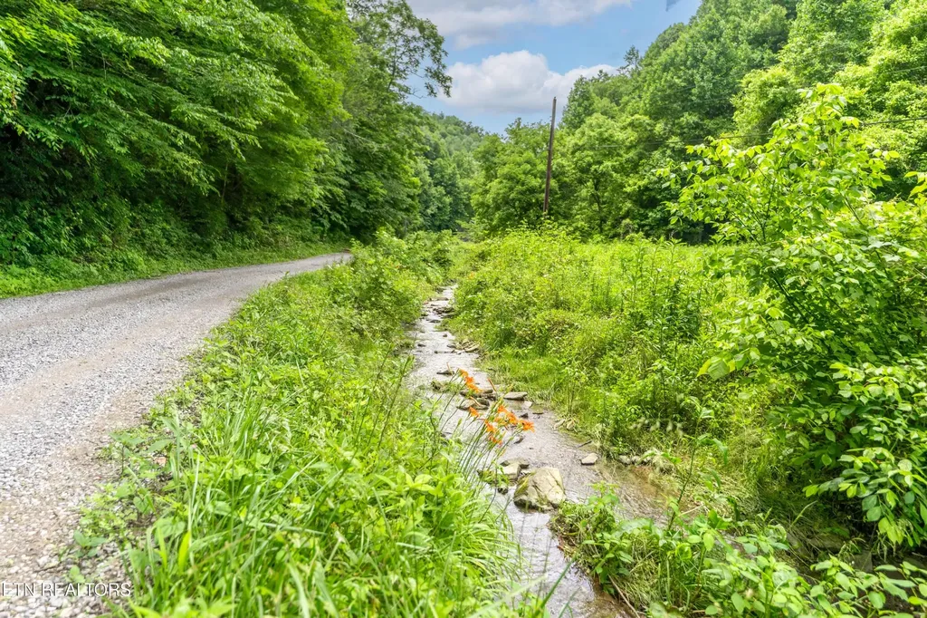 0 Johns Creek Road Del Rio TN 37727