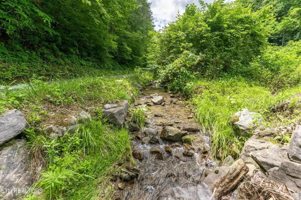0 Johns Creek Road Del Rio TN 37727