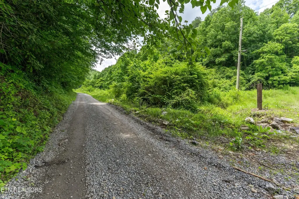 0 Johns Creek Road Del Rio TN 37727