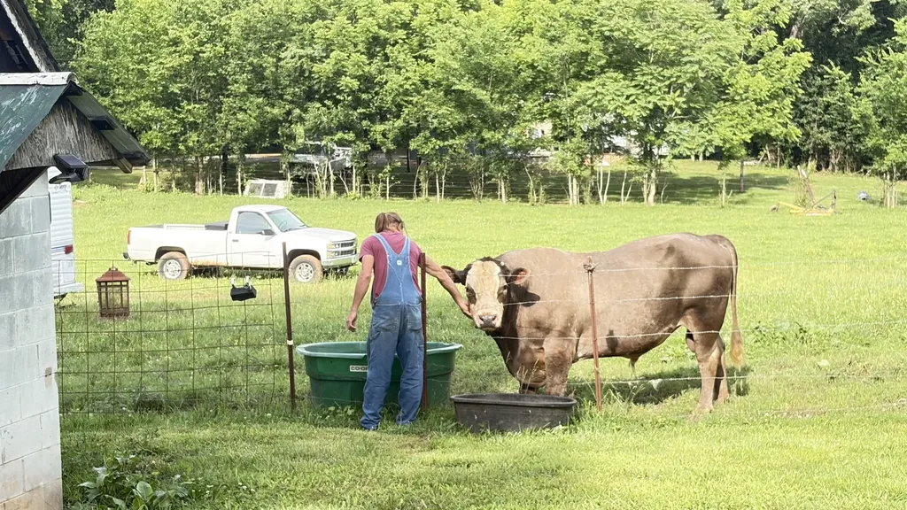 1260 Eaton Road Sparta TN 38583