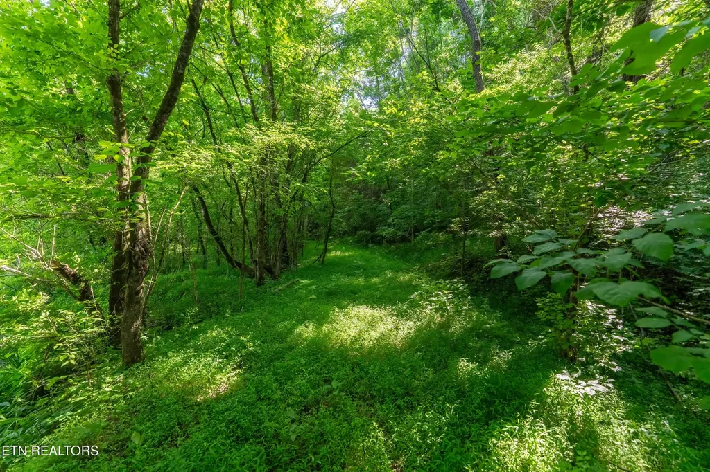 1921 Sockless Road Dandridge TN 37725
