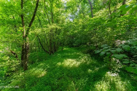 1921 Sockless Road Dandridge TN 37725