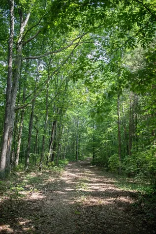 5450 Old Highway 96 Franklin TN 37064