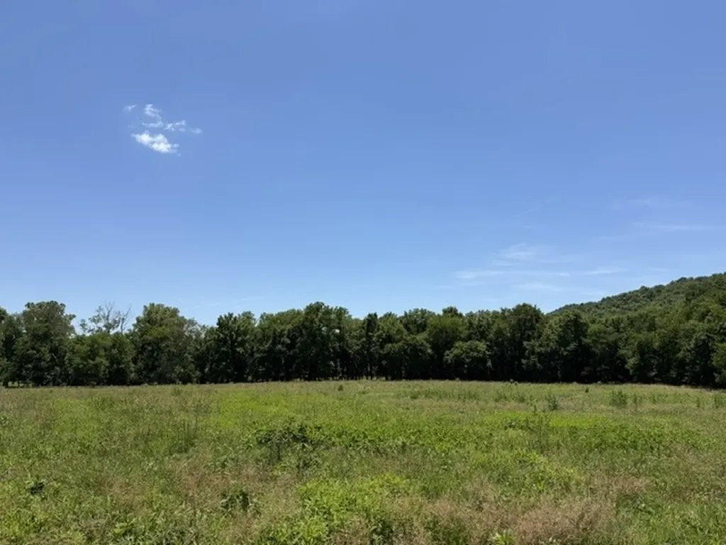 0 Delina Boonshill Road Petersburg TN 37144