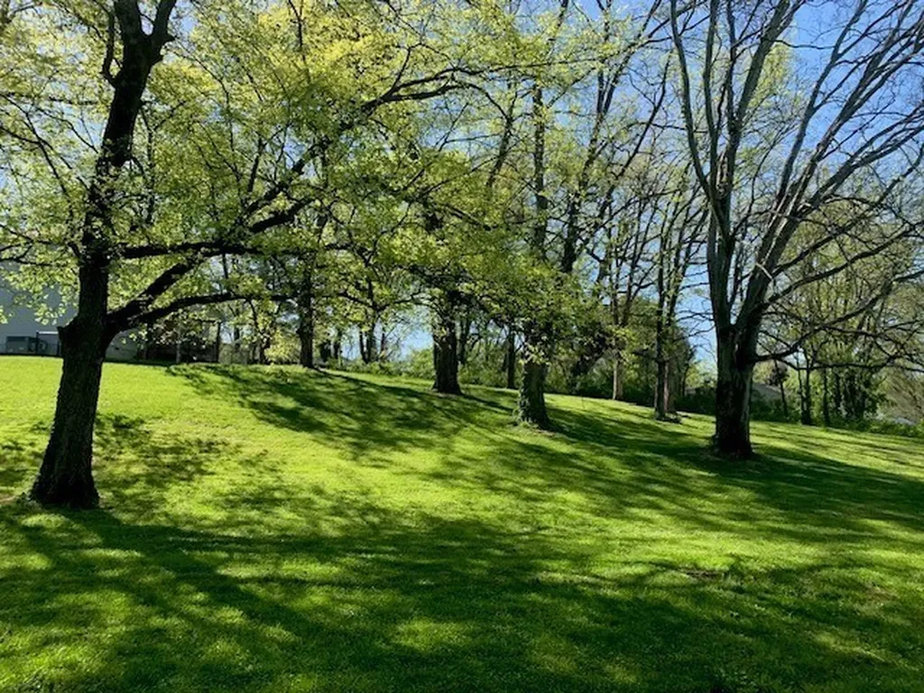 0 Poplar Street Columbia TN 38401