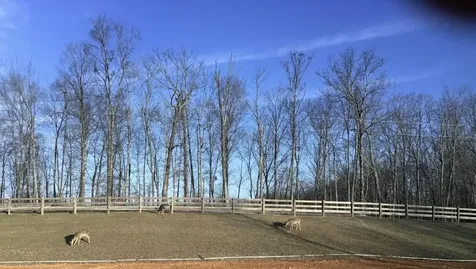 1375 Overlook Trail Stewart TN 37175