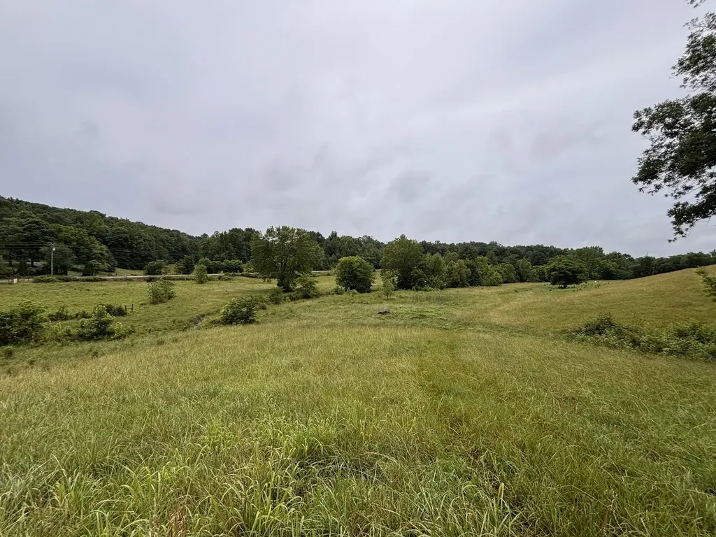 135 Louise Creek Road Cumberland Furnace TN 37051