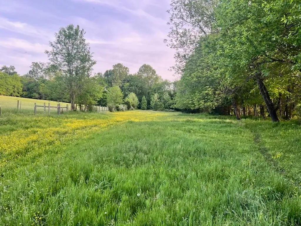 698 Clearview Road Cottontown TN 37048