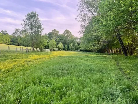 698 Clearview Road Cottontown TN 37048