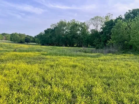 698 Clearview Road Cottontown TN 37048