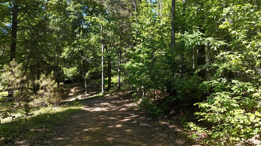 0 Greenbriar Road Waverly TN 37185