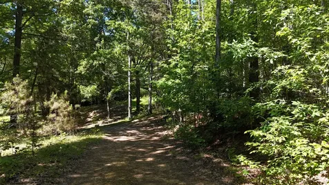 0 Greenbriar Road Waverly TN 37185