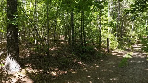 0 Greenbriar Road Waverly TN 37185