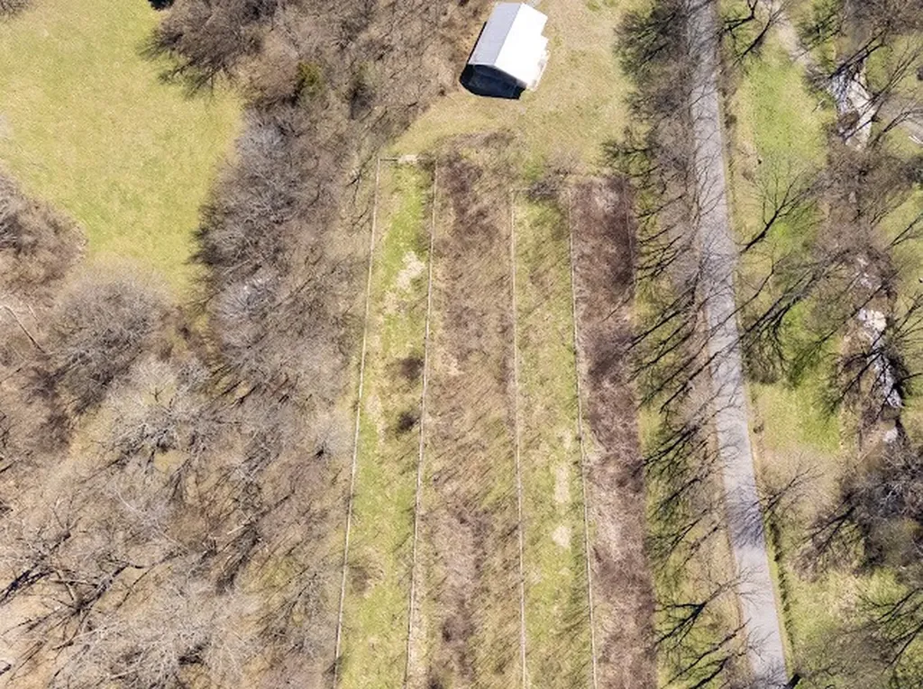 474 Bartlett Hollow Road Petersburg TN 37144
