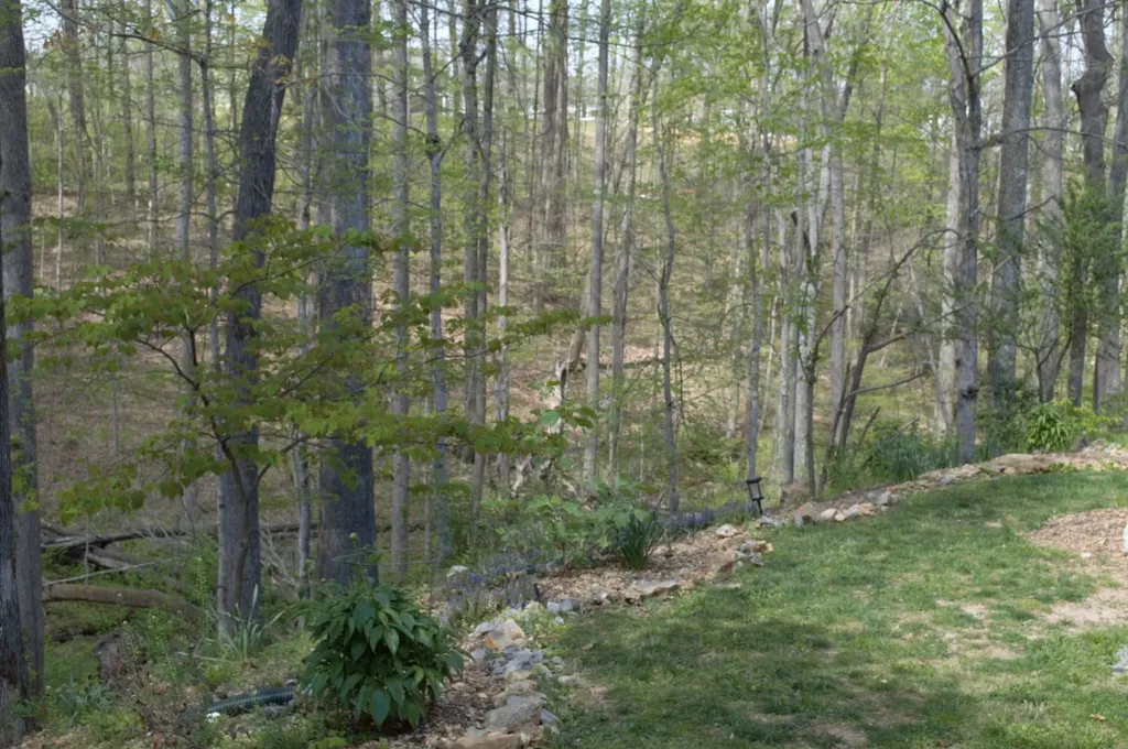 201 Glenwood Drive Goodlettsville TN 37072