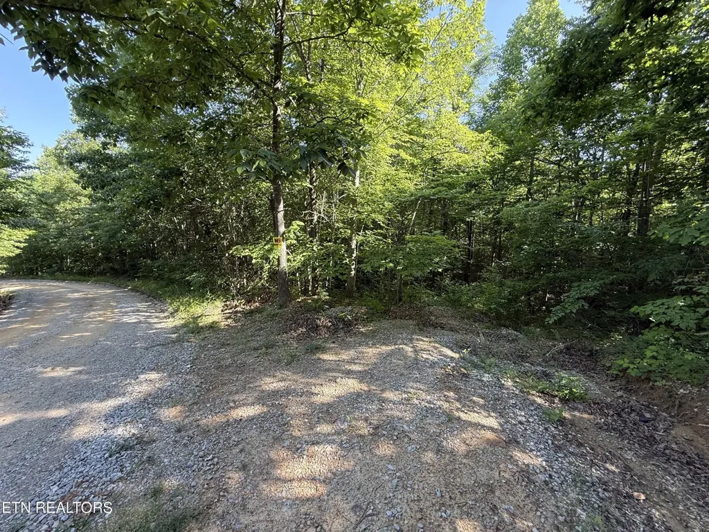 969 Lewallen Road Sunbright TN 37872