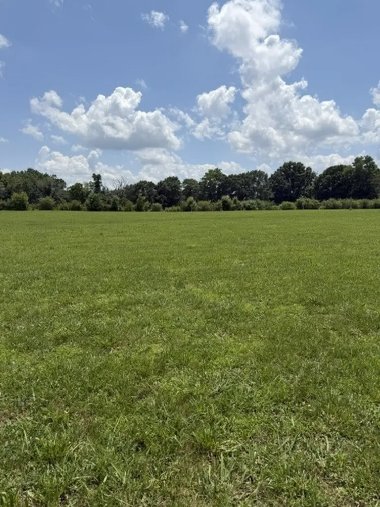 0 Old Salem Lexie Road Belvidere TN 37306