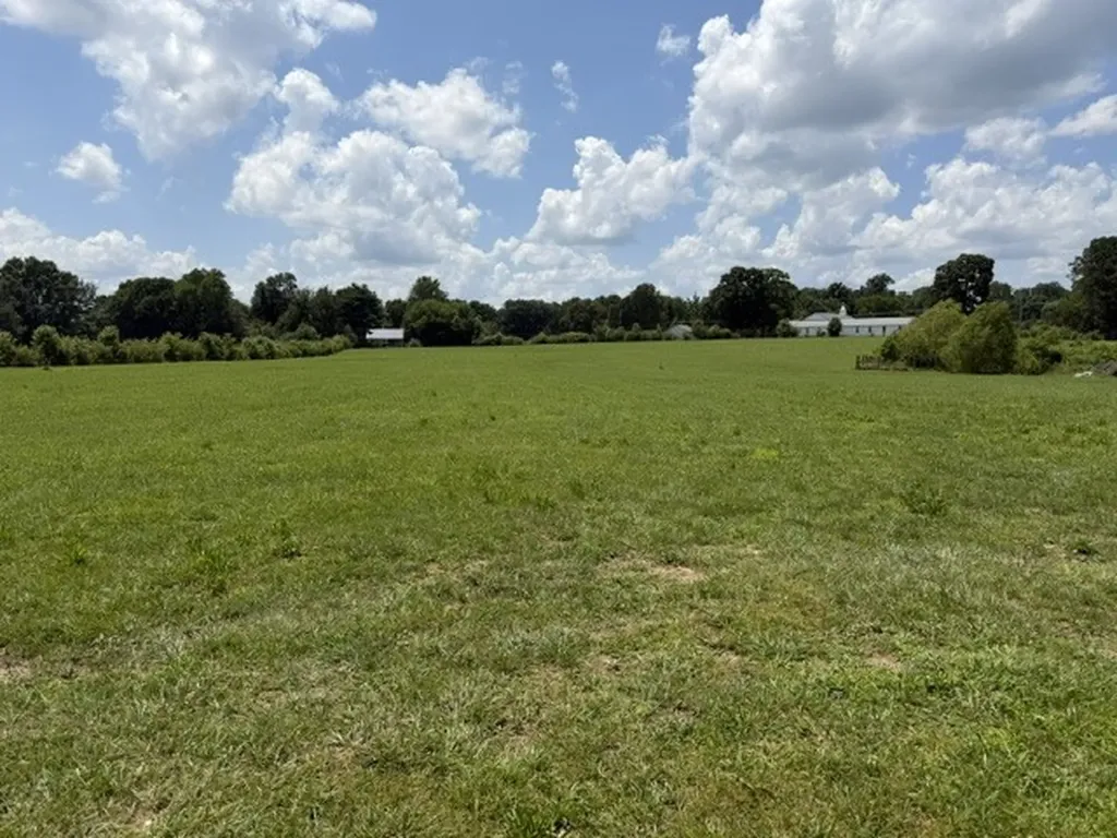 0 Old Salem Lexie Road Belvidere TN 37306