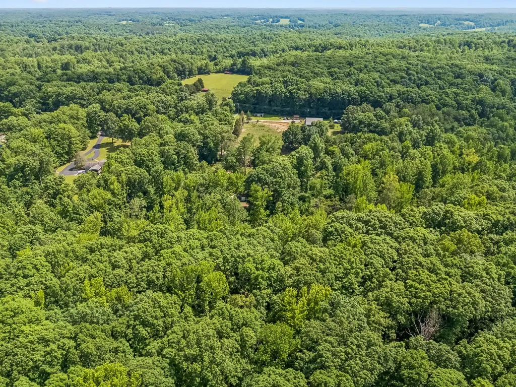 5450 Highway 49, W Vanleer TN 37181