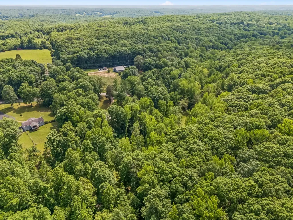 5450 Highway 49, W Vanleer TN 37181