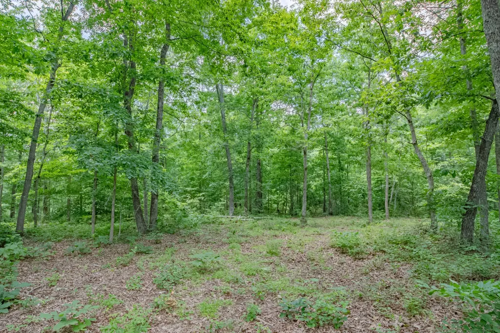 6126 Calvin Potts Road Primm Springs TN 38476