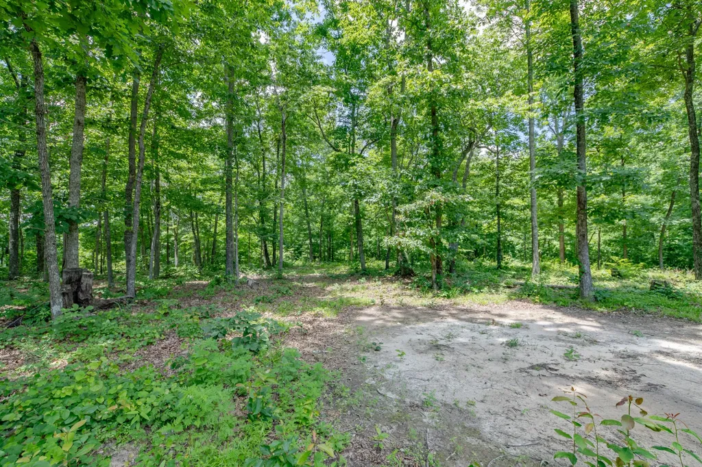 6126 Calvin Potts Road Primm Springs TN 38476