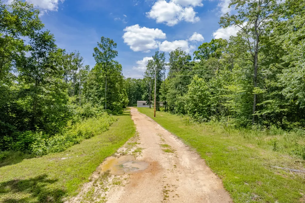 6126 Calvin Potts Road Primm Springs TN 38476