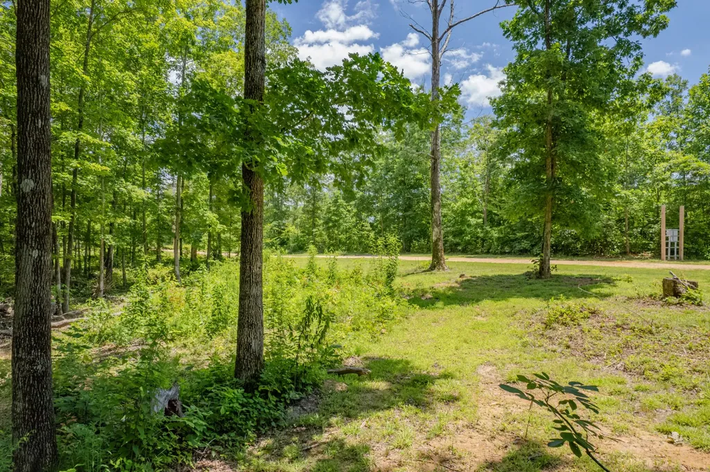 6126 Calvin Potts Road Primm Springs TN 38476