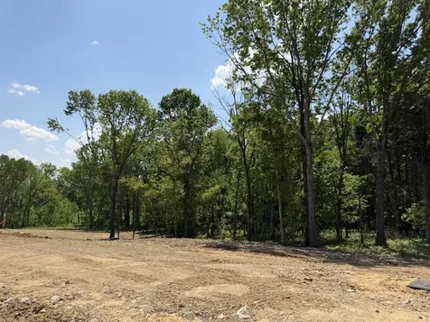 1539 Divine Court Arrington TN 37014