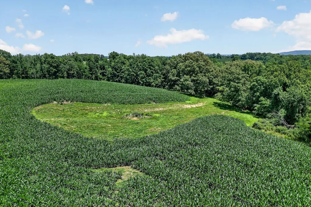 2531 Old Well Road Morrison TN 37357