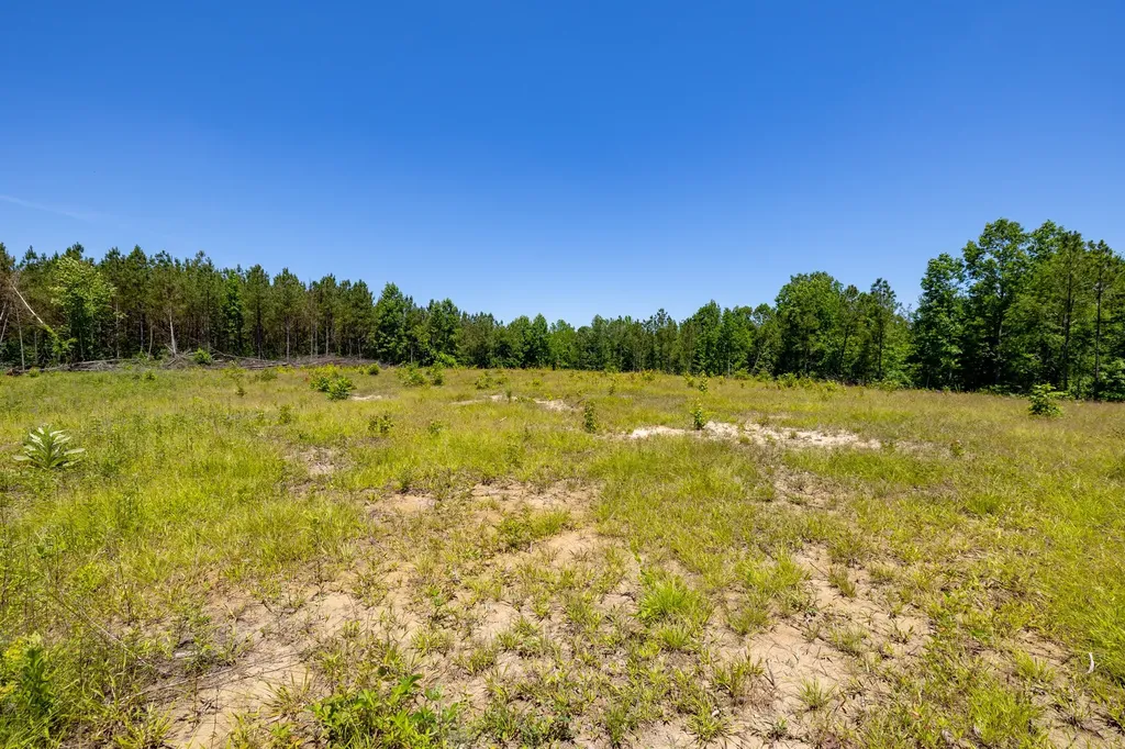 0 White Oak Road Stewart TN 37175