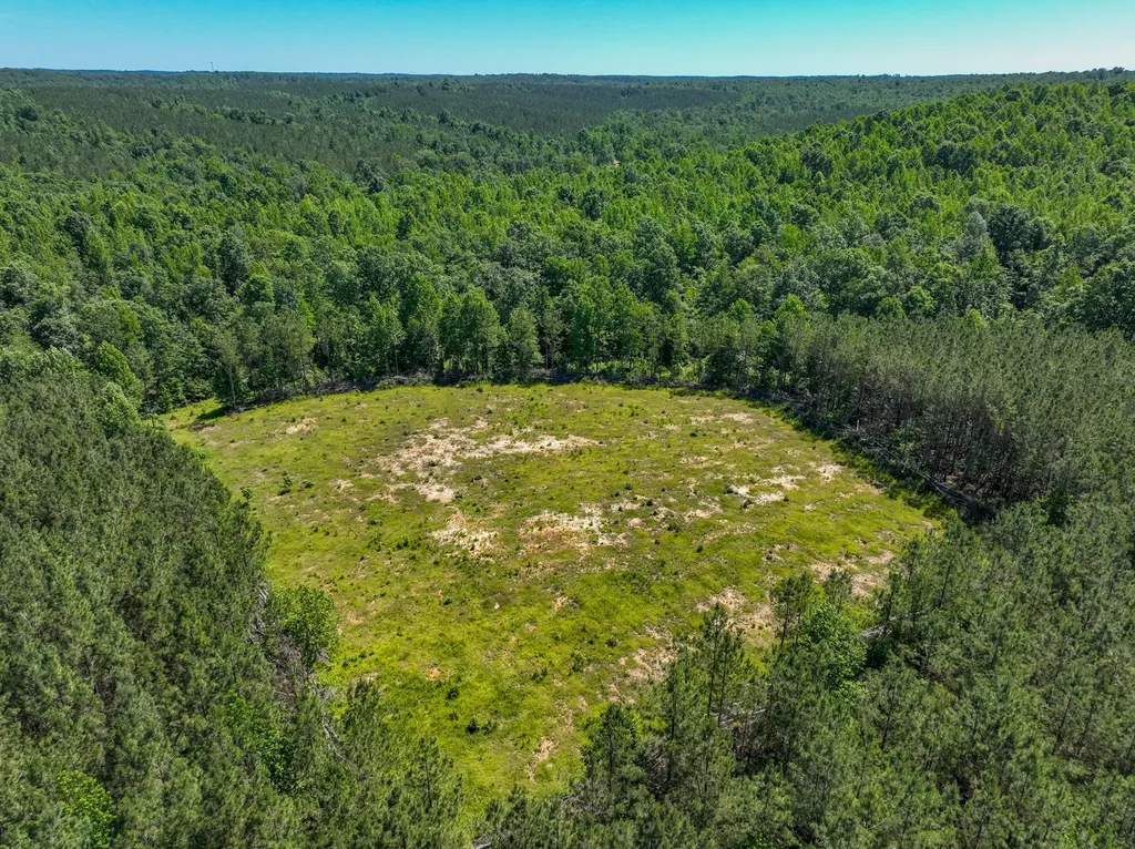 0 White Oak Road Stewart TN 37175