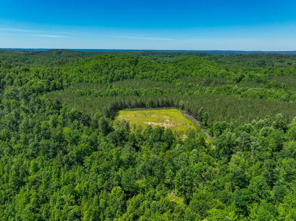 0 White Oak Road Stewart TN 37175