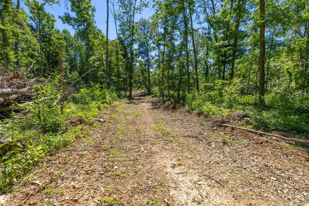 0 White Oak Road Stewart TN 37175