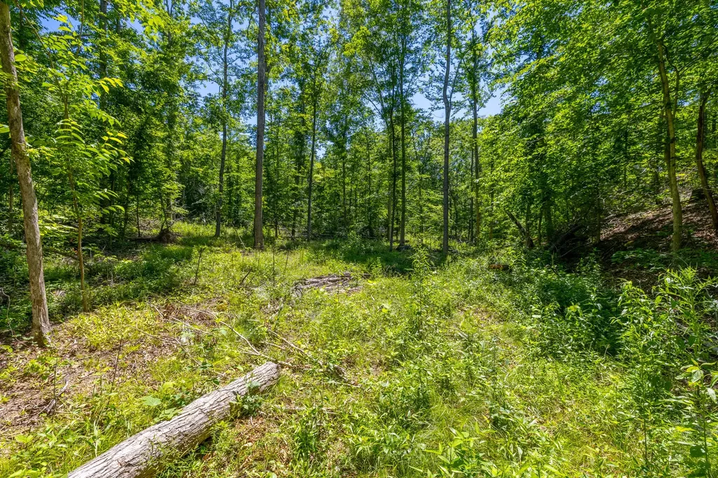 0 White Oak Road Stewart TN 37175