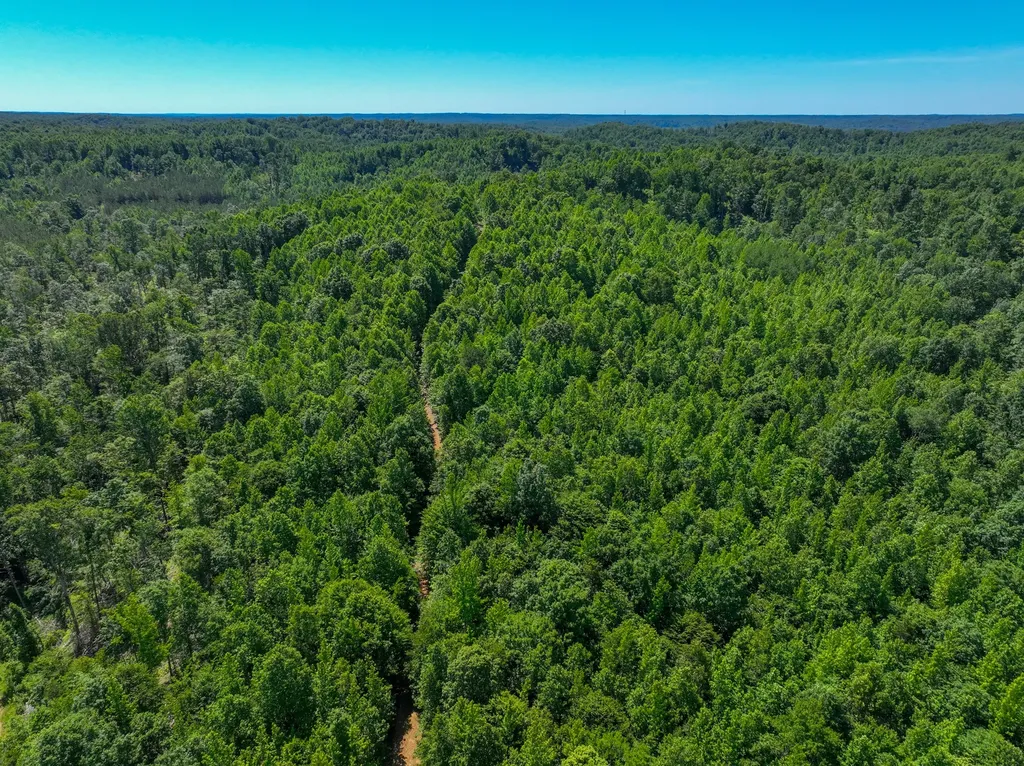 0 White Oak Road Stewart TN 37175