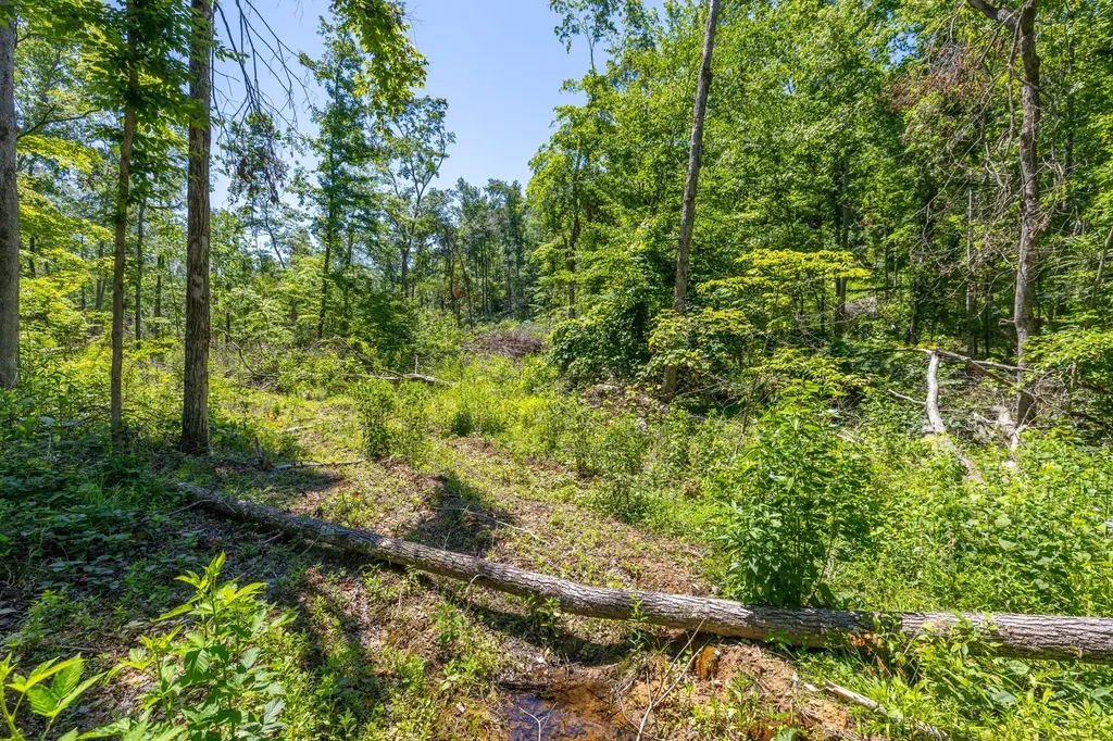 0 White Oak Road Stewart TN 37175
