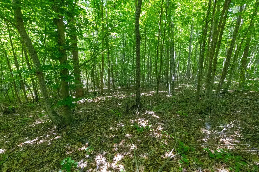 0 White Oak Road Stewart TN 37175