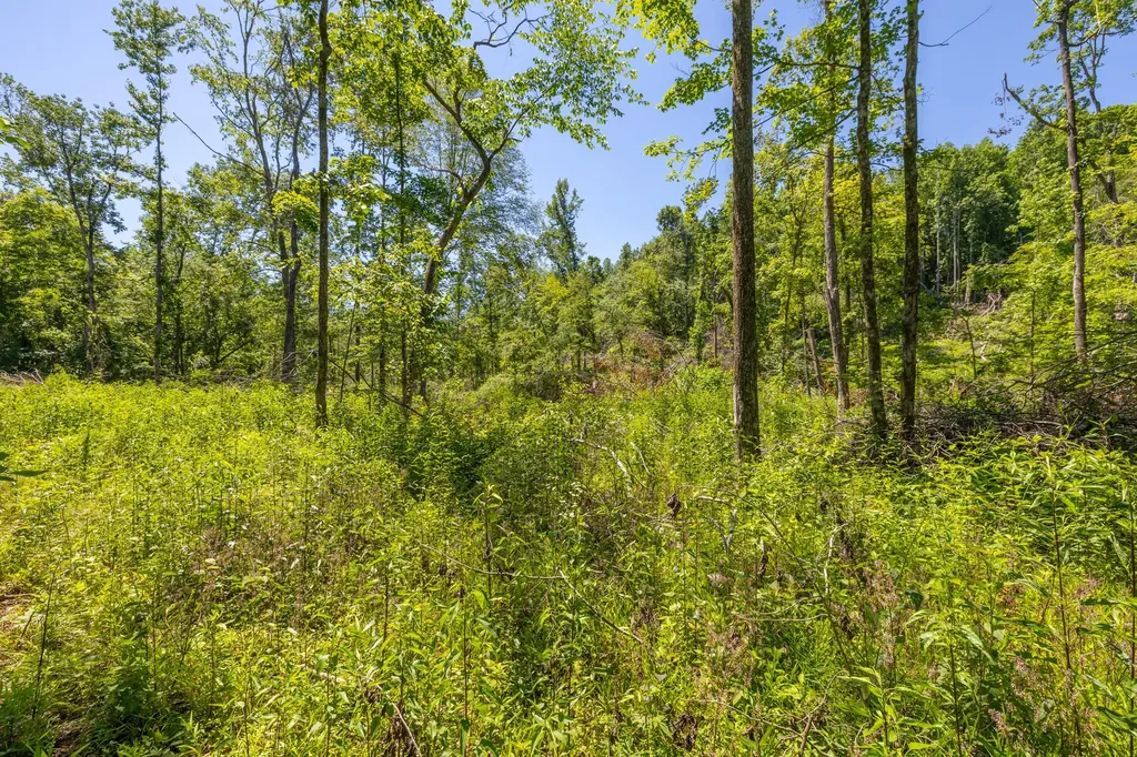 0 White Oak Road Stewart TN 37175