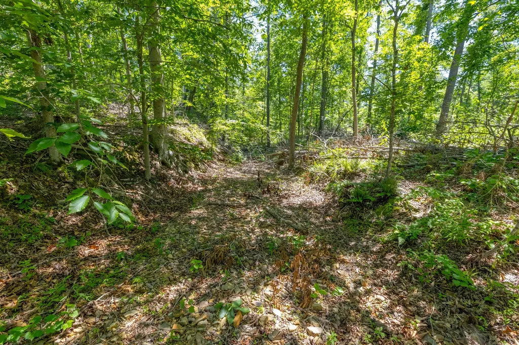 0 White Oak Road Stewart TN 37175