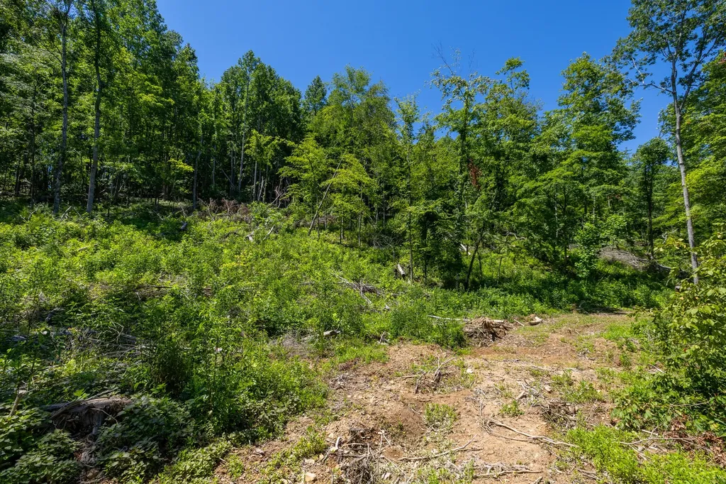 0 White Oak Road Stewart TN 37175