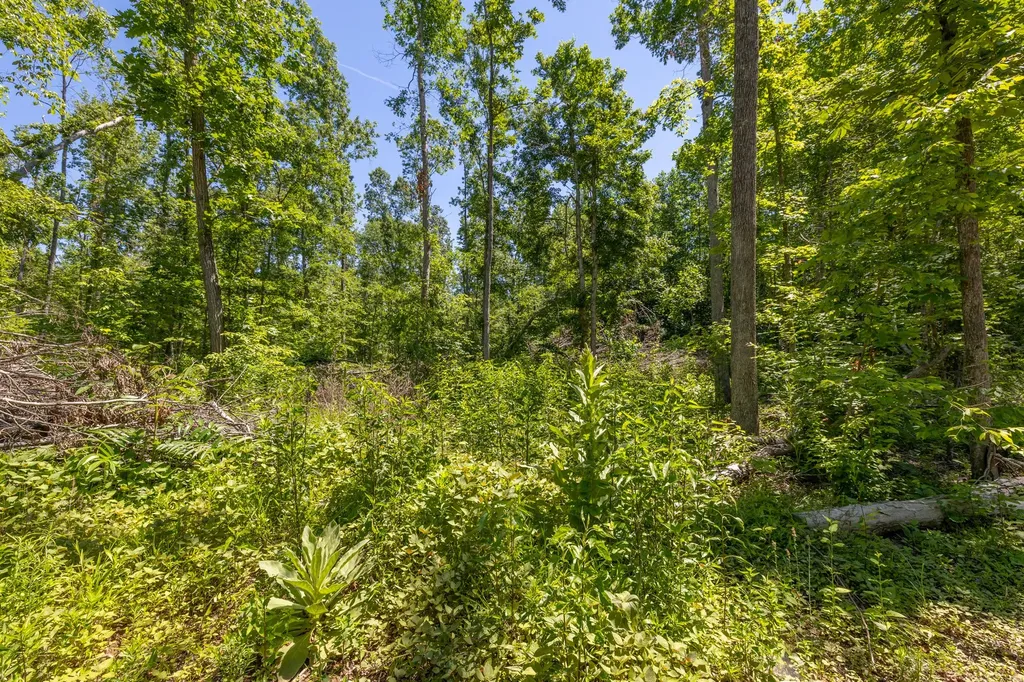 0 White Oak Road Stewart TN 37175