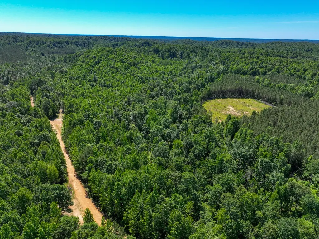 0 White Oak Road Stewart TN 37175