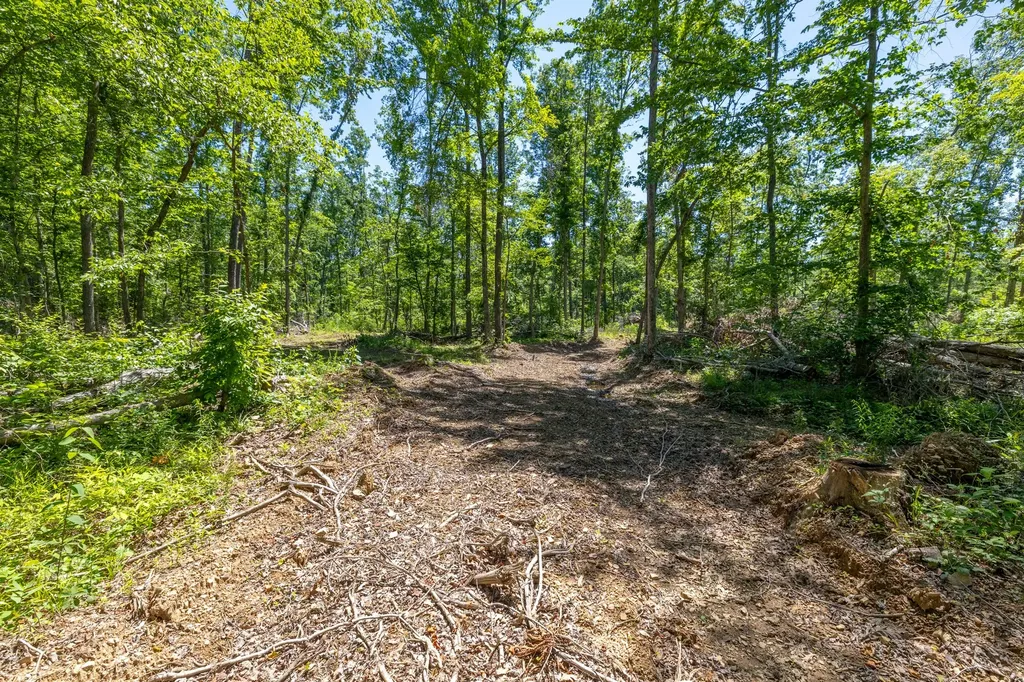 0 White Oak Road Stewart TN 37175